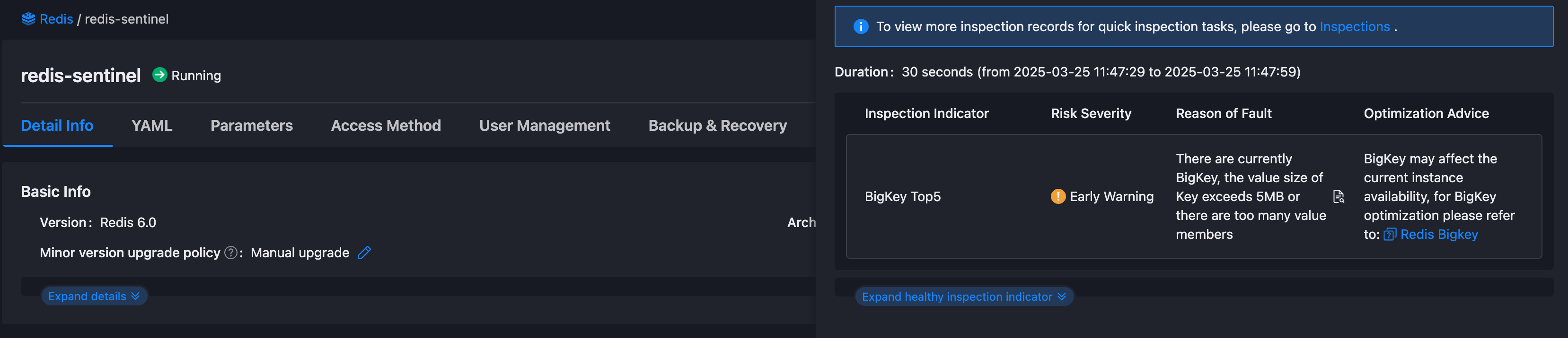 BigKey Detection Report